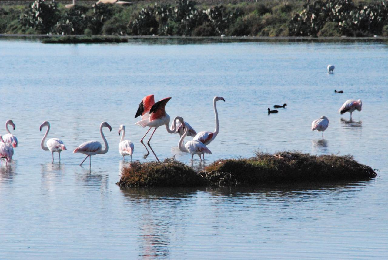 B&B Mare Di Augusta La Finestra Sul Porto Dış mekan fotoğraf